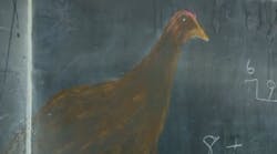 A 98-year-old drawing of a Thanksgiving turkey was preserved on a blackboard that had been covered over in a school renovation in Oklahoma City.