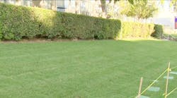 Newly installed grass at Emerson Middle School in Los Angeles has some neighbors upset.