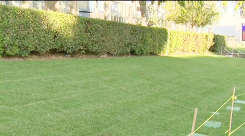 Newly installed grass at Emerson Middle School in Los Angeles has some neighbors upset.