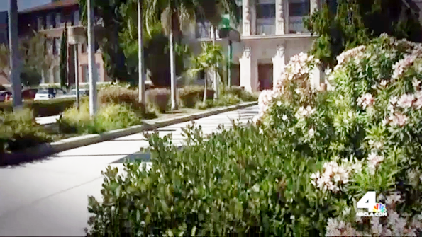 The filming of part of a pornographic movie at Alexander Hamilton High School is one of the productions that has led the Los Angeles Unified School District to revise its policy for filming on district properties