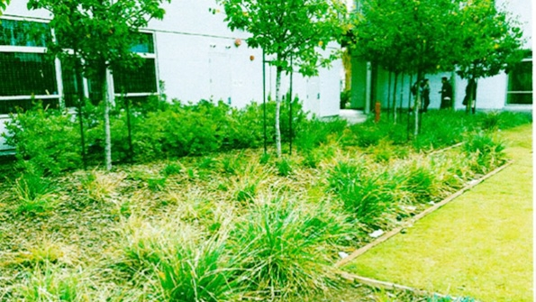 Six schools in the Los Angeles district will receive state grants to develop droughtmitigation projects like those installed at Torres High which features bioswales and rain gardens