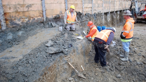 Workers uncovered mammoth bones at Oregon State University39s Valley Football Center