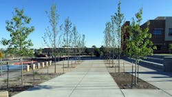 The main entry plaza at the new MontezumaCortez High School The main entry plaza at the new MontezumaCortez High School