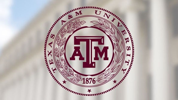 Texas A&M gets OK to build academic center in McAllen American School