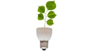 Asumag 2569 Shutterstock35783707 Light Bulb Leaf Coming Out