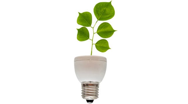 Asumag 2569 Shutterstock35783707 Light Bulb Leaf Coming Out