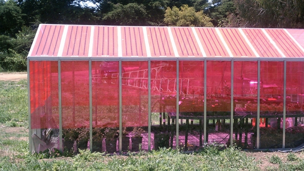 University of California, Riverside, will build solarpowered