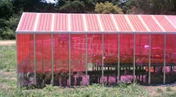 A solar-powered greenhouse to be built at UC Riverside will be similar to this one at UC Santa Cruz.