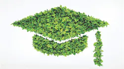 A graduation cap made of green leaves