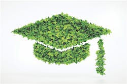 A graduation cap made of green leaves A graduation cap made of green leaves