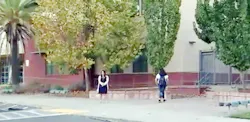pinerhigh pinerhigh