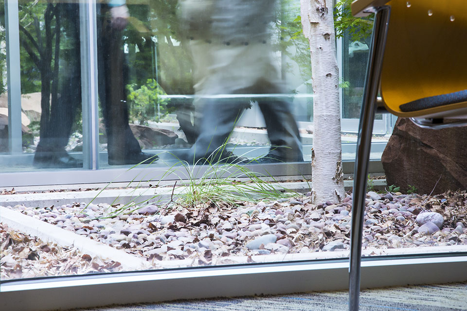 Building atrium with rocks and plants