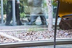 Building atrium with rocks and plants Building atrium with rocks and plants