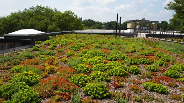 Sidwell Friends School located in DC