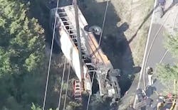 mesquitebus mesquitebus