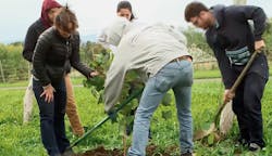 umassvineyard umassvineyard