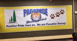 paradise return paradise return