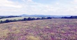 pennstatesolar pennstatesolar