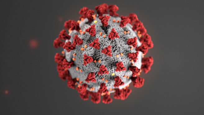 Coronavirus