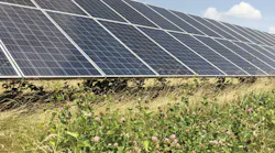 UPenn solar
