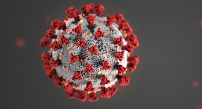 Coronavirus