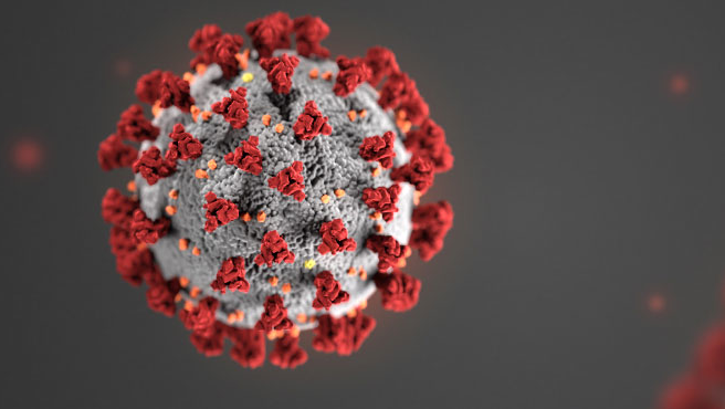 coronavirus