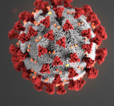 Coronavirus