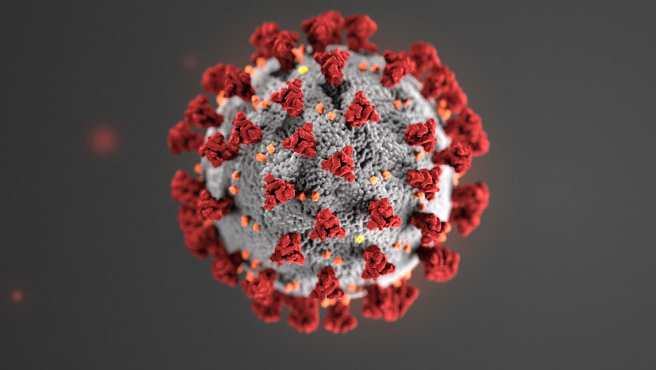 coronavirus