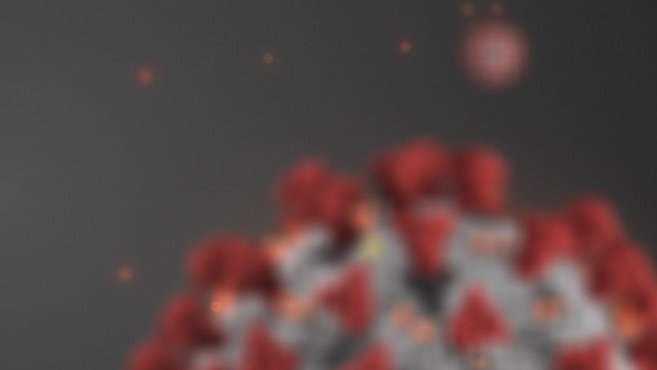 coronavirus
