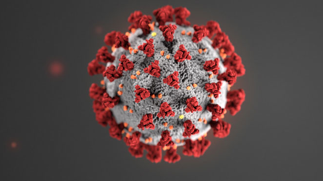 coronavirus