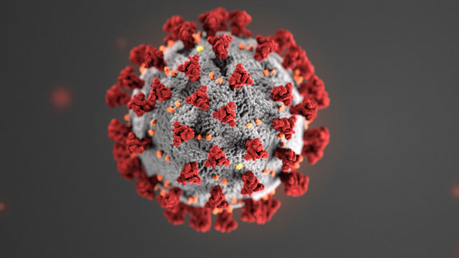 coronavirus