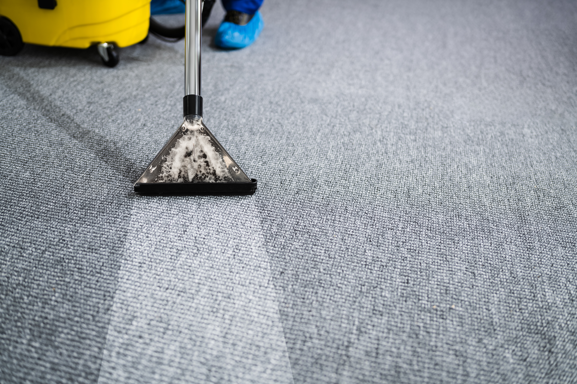A regular schedule of carpet cleaning in schools will help deter the spread of Covid-19.