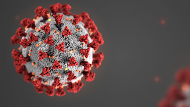 coronavirus