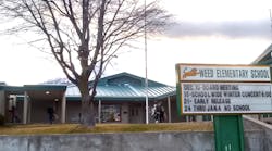 weed elementary weed elementary