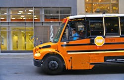 School bus driver School bus driver