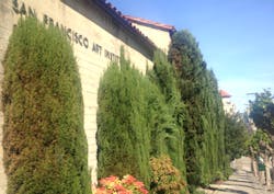 San Francisco Art Institute 61fd526219611 San Francisco Art Institute 61fd526219611