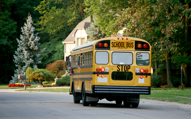 School Bus 622126bc82490