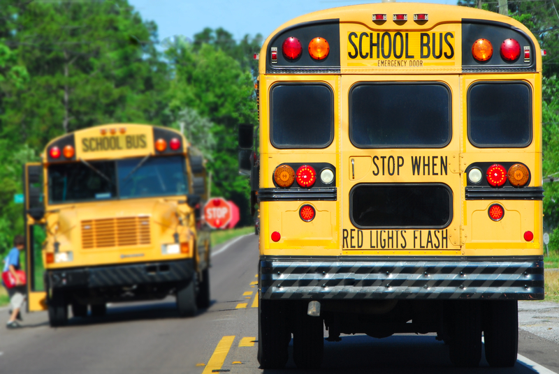 School Bus 627ebce0e34d0