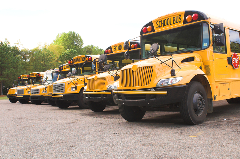 School Buses 62ed5732af24c