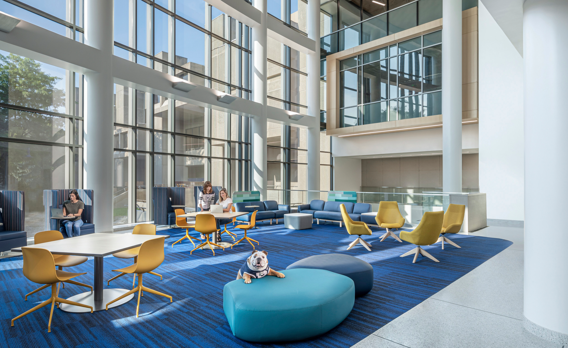 Butler Shb 63eab3a76e248