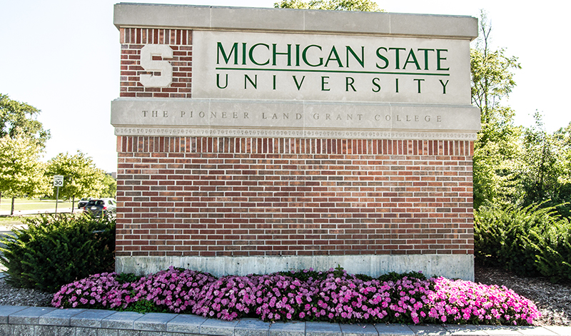 msu campus