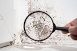 When a school or university identifies a mold problem, it is important to promptly locate and abate moisture sources. When a school or university identifies a mold problem, it is important to promptly locate and abate moisture sources.