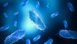 About 6,000 cases of Legionnaires' disease are reported each year in the United States. About 6,000 cases of Legionnaires' disease are reported each year in the United States.