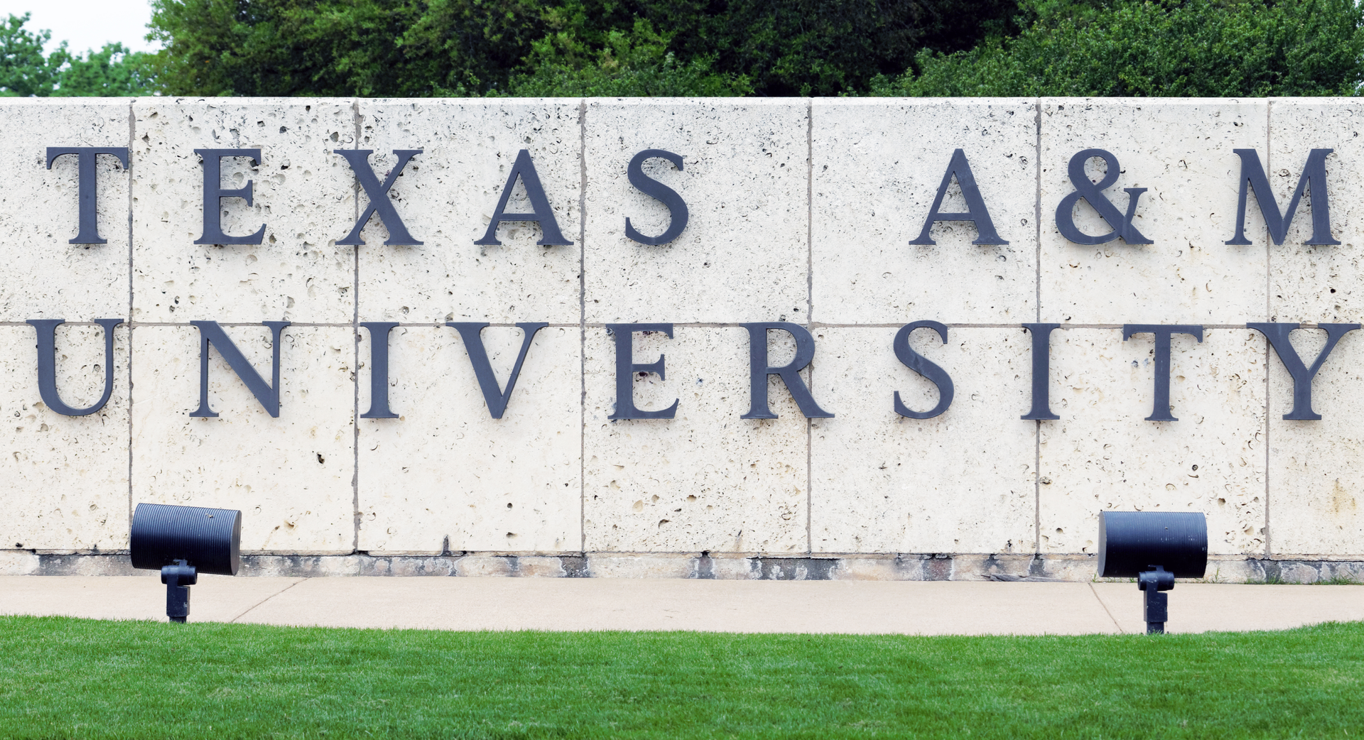Tamu 64cd39ef6b878