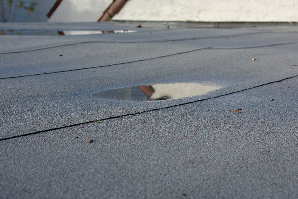 Regular roof inspections will enable schools to detect early signs of problems, like ponding water.