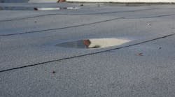 Regular roof inspections will enable schools to detect early signs of problems, like ponding water.
