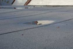 Regular roof inspections will enable schools to detect early signs of problems, like ponding water. Regular roof inspections will enable schools to detect early signs of problems, like ponding water.