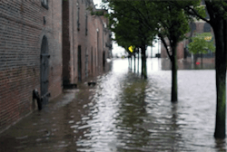 Nyc Emergnecy Management 651b39f7dd8e6 Nyc Emergnecy Management 651b39f7dd8e6