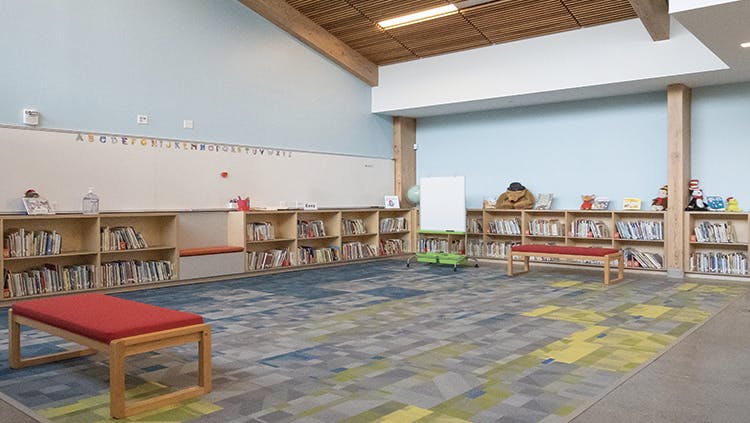 new_cropped_noelani_shb