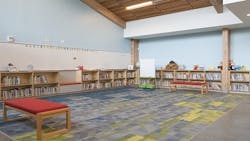 656e280fc5b17d001ebb87fd New Cropped Noelani Shb 656e280fc5b17d001ebb87fd New Cropped Noelani Shb